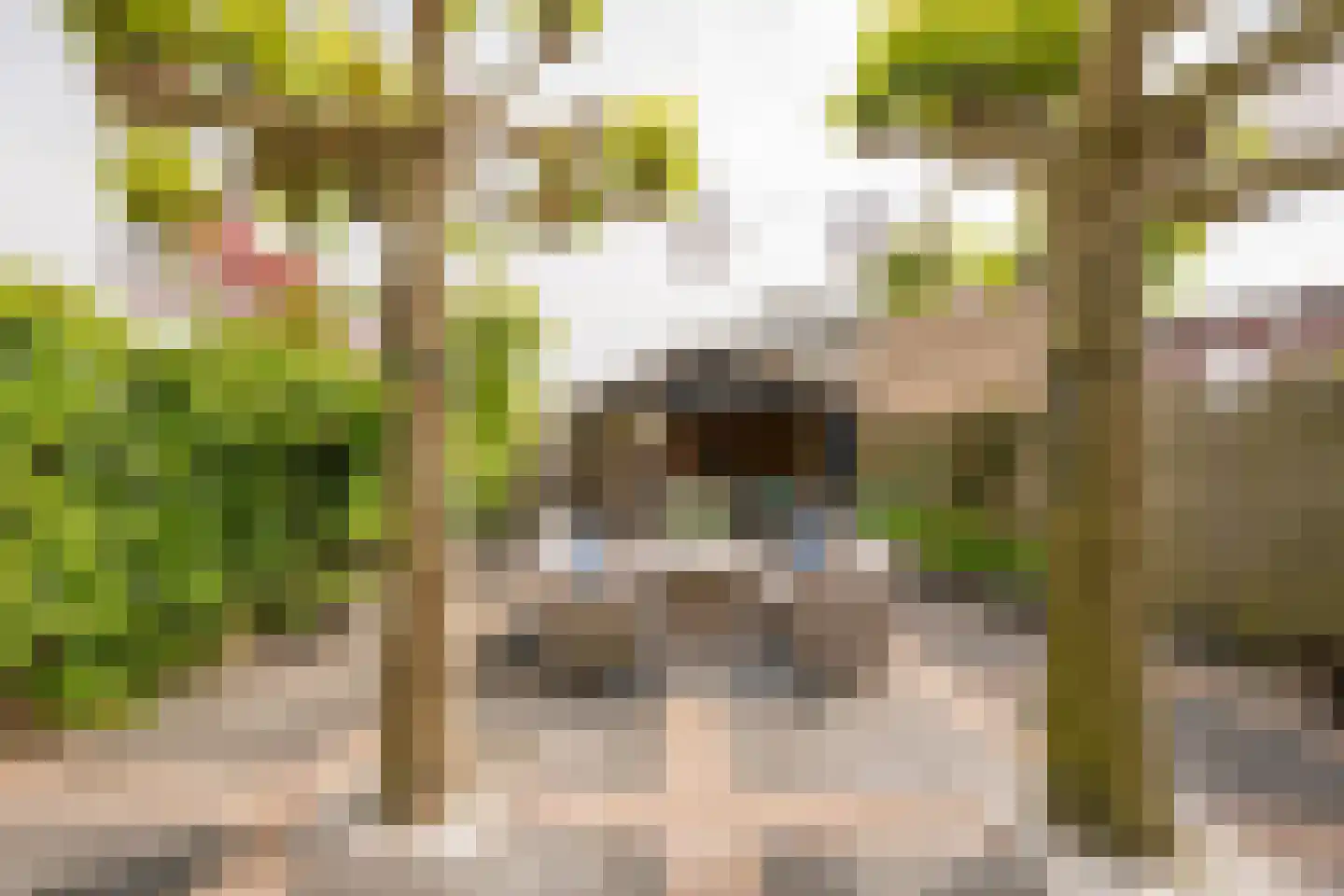 Evert van der Veerlaan 15 Hoevelaken thumbnail 33