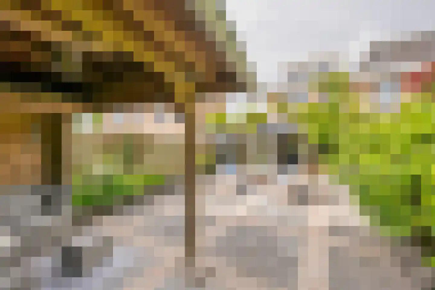 Evert van der Veerlaan 15 Hoevelaken thumbnail 35