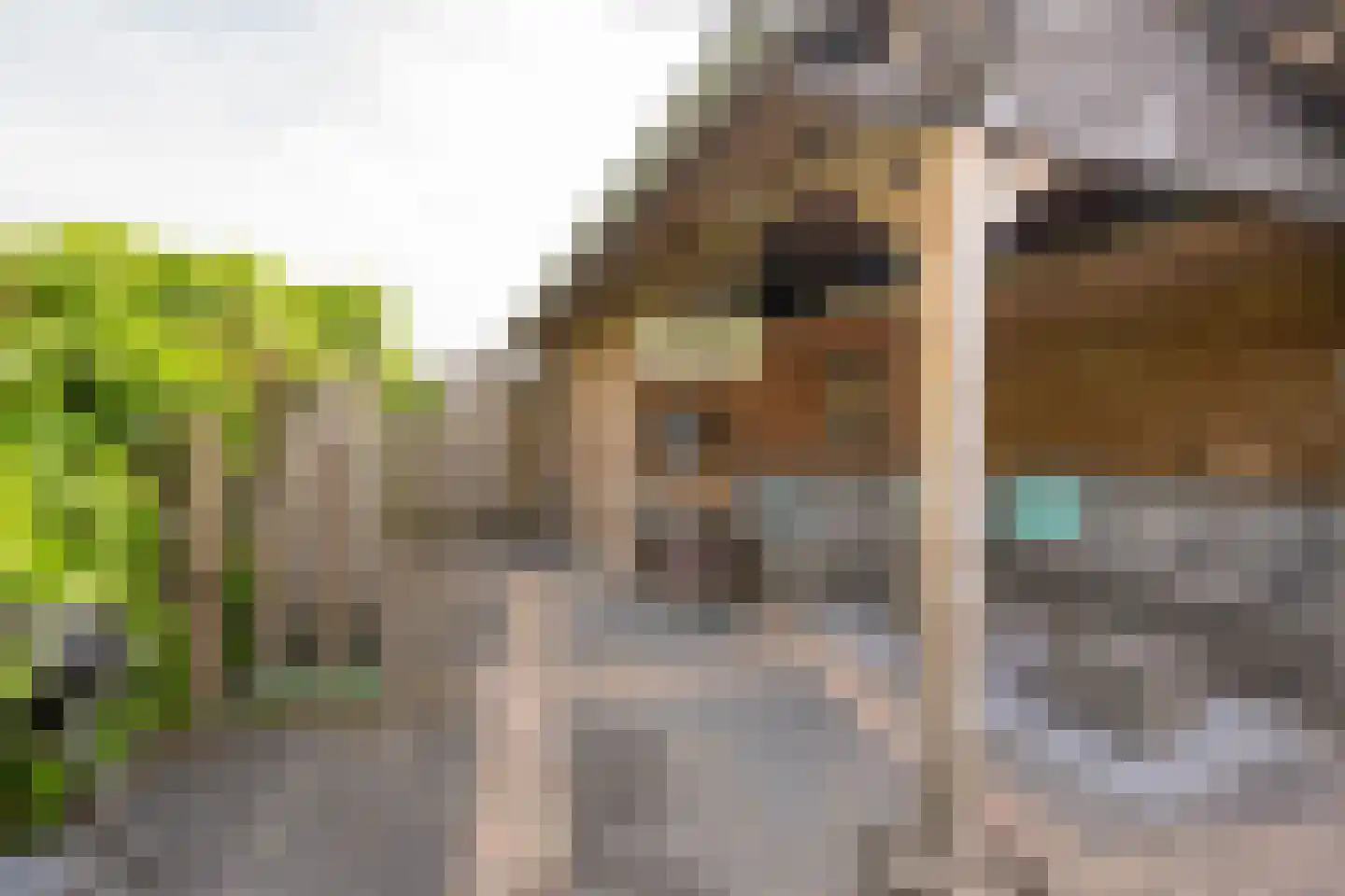 Evert van der Veerlaan 15 Hoevelaken thumbnail 36