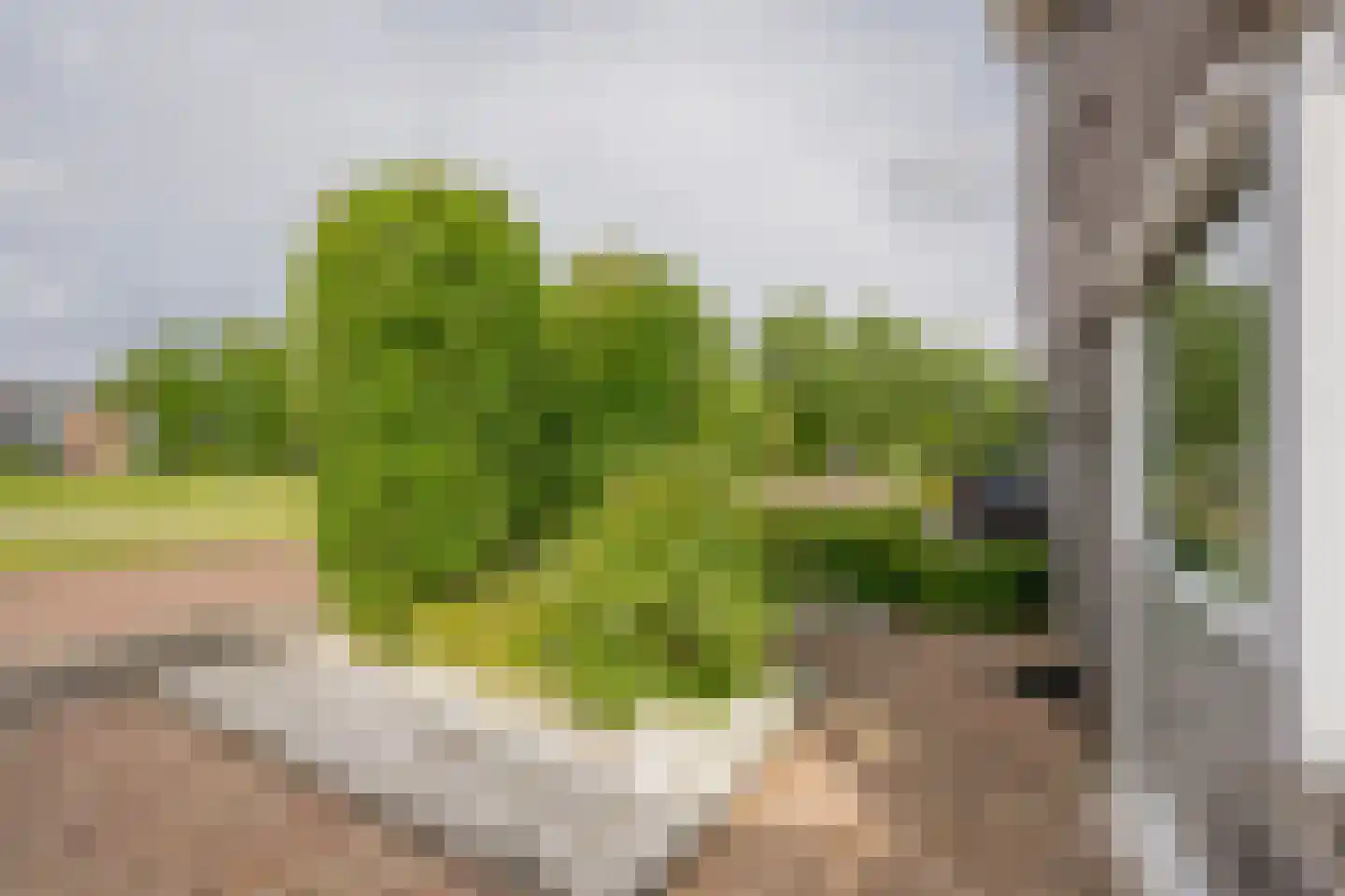 Evert van der Veerlaan 15 Hoevelaken thumbnail 39