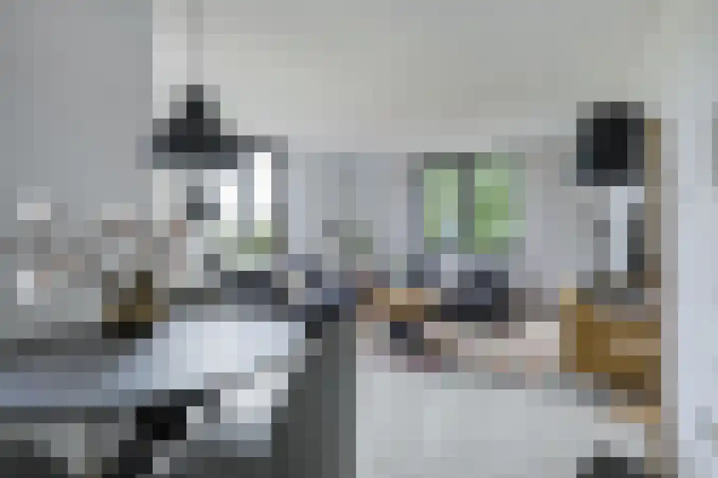 Evert van der Veerlaan 8 Hoevelaken thumbnail 7