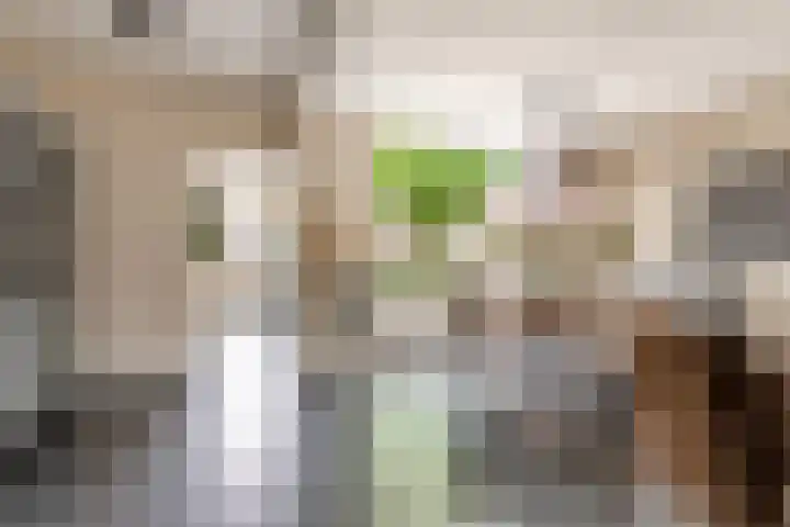 Evert van Dijkstraat 22 's-Hertogenbosch thumbnail 10