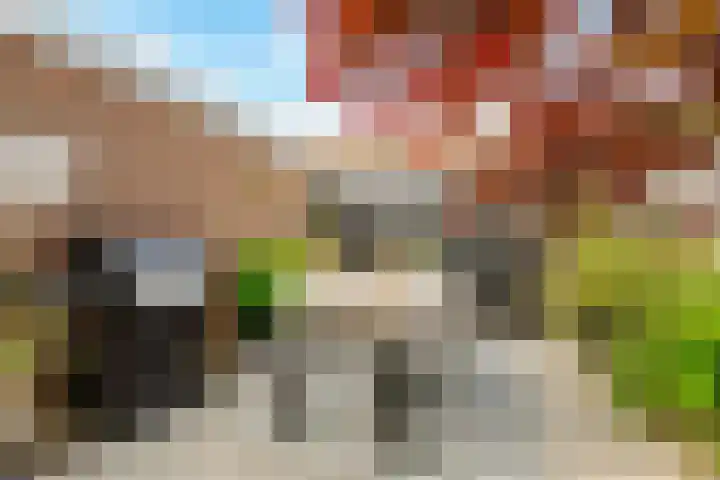 Evert van Dijkstraat 22 's-Hertogenbosch thumbnail 15