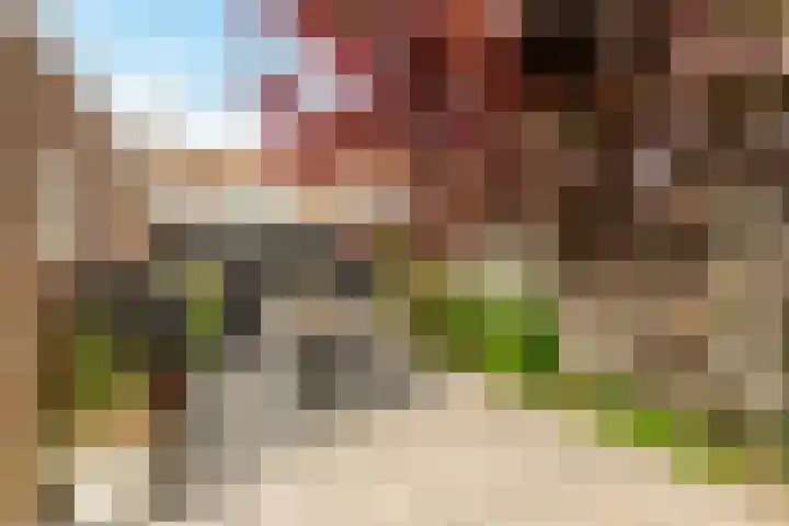 Evert van Dijkstraat 22 's-Hertogenbosch thumbnail 18