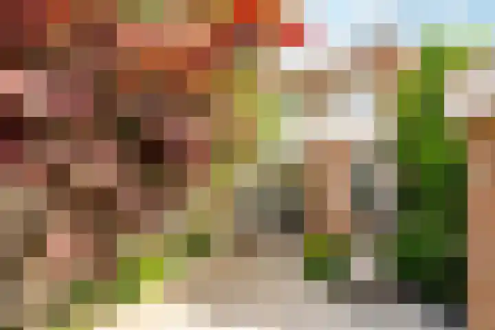 Evert van Dijkstraat 22 's-Hertogenbosch thumbnail 21