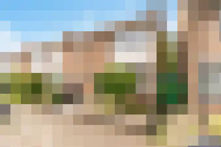 Evert van Dijkstraat 22 's-Hertogenbosch thumbnail 33