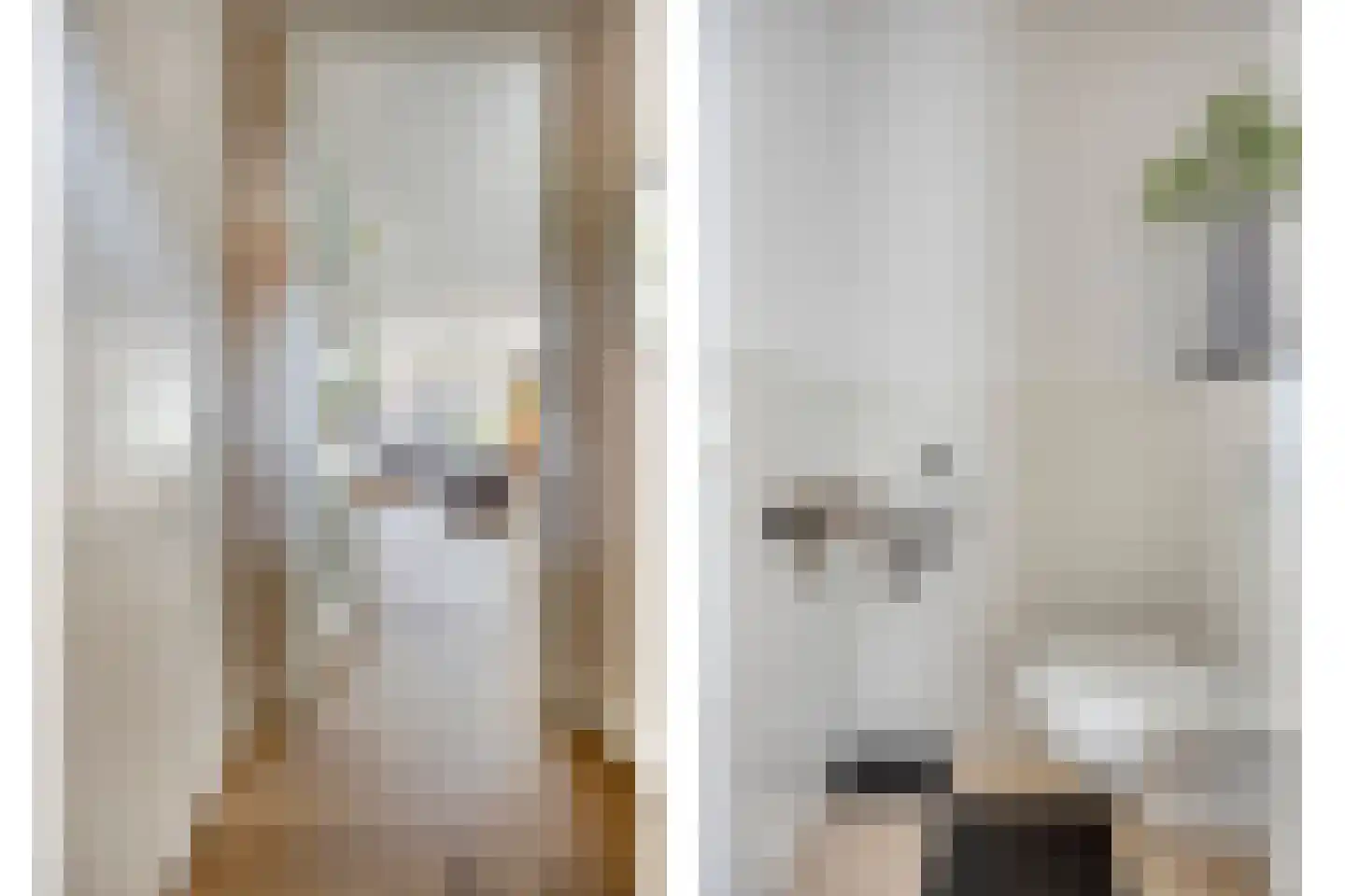 Evert van 't Landstraat 21 Apeldoorn thumbnail 13