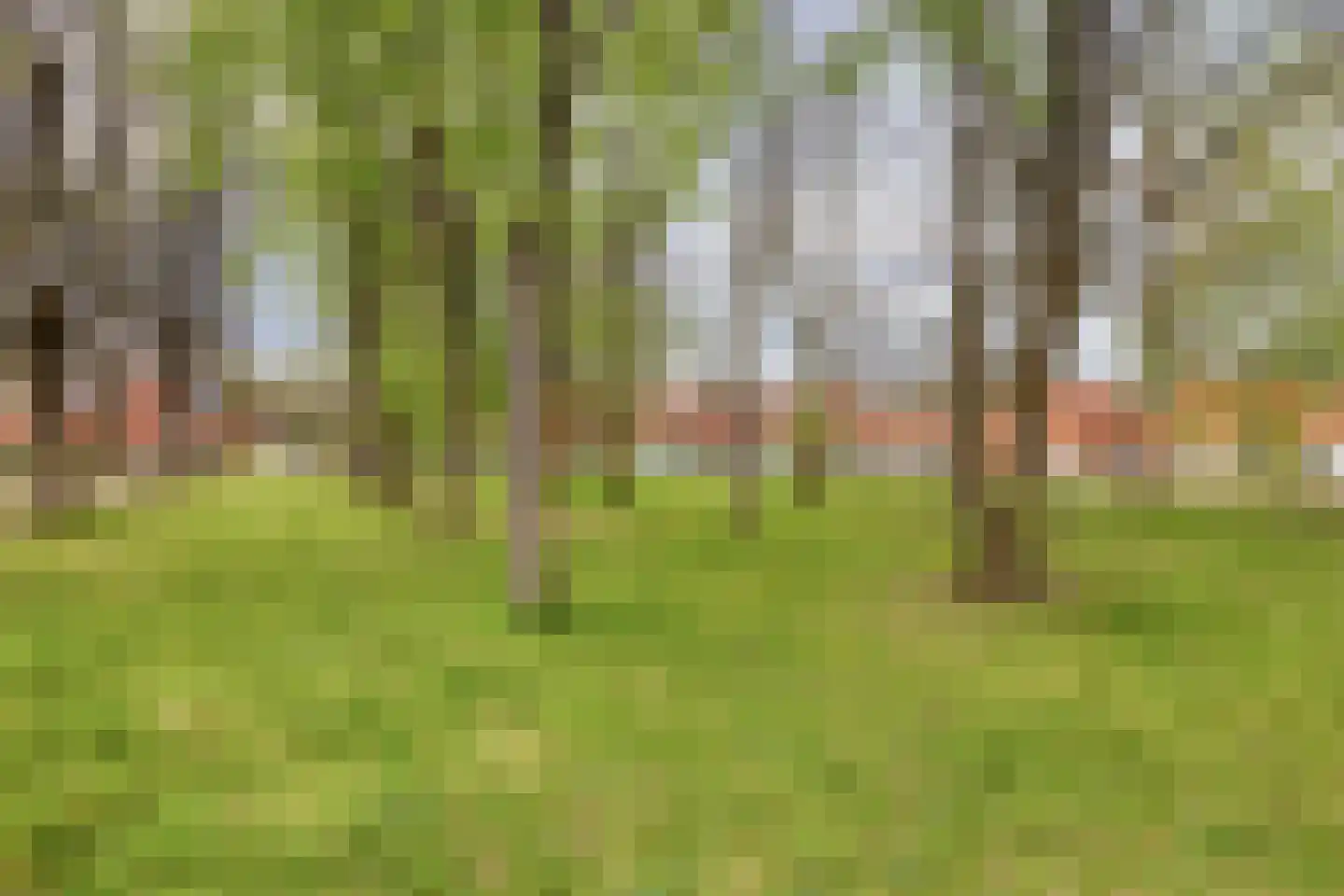 Evert van 't Landstraat 21 Apeldoorn thumbnail 37