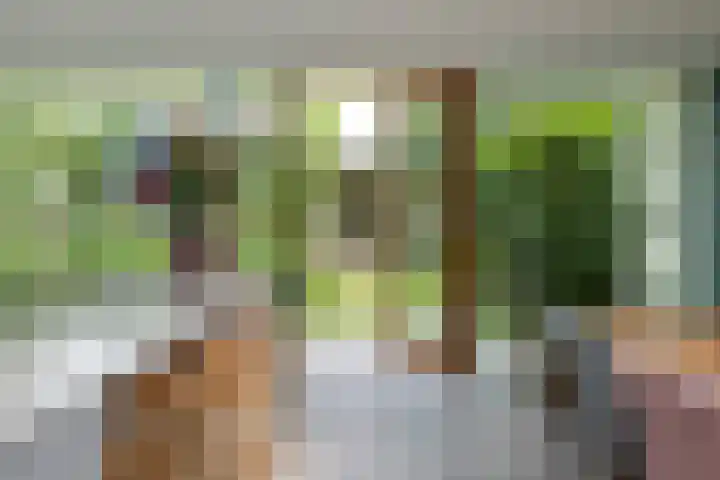 Evert van Wilpweg 6 Oosterbeek thumbnail 14
