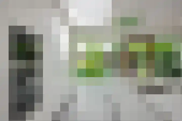 Evert van Wilpweg 6 Oosterbeek thumbnail 19