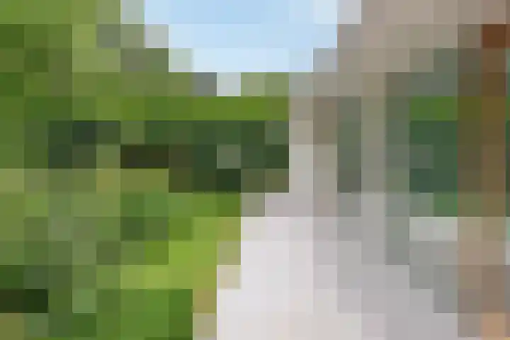 Evert van Wilpweg 6 Oosterbeek thumbnail 21