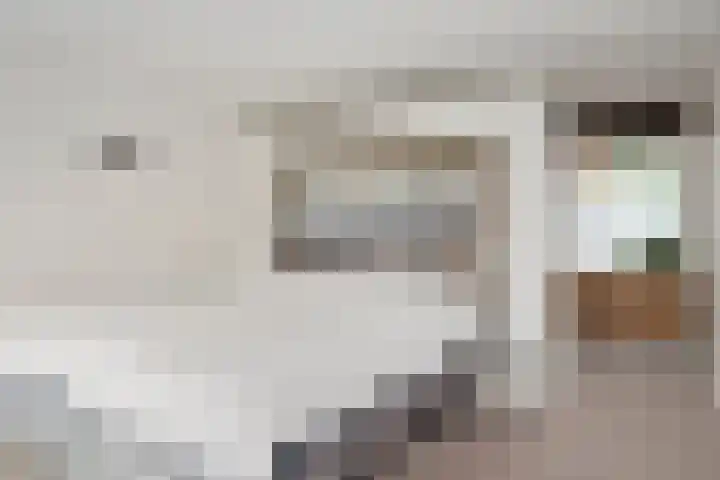Evert van Wilpweg 6 Oosterbeek thumbnail 24