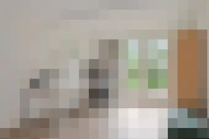 Evert van Wilpweg 6 Oosterbeek thumbnail 36