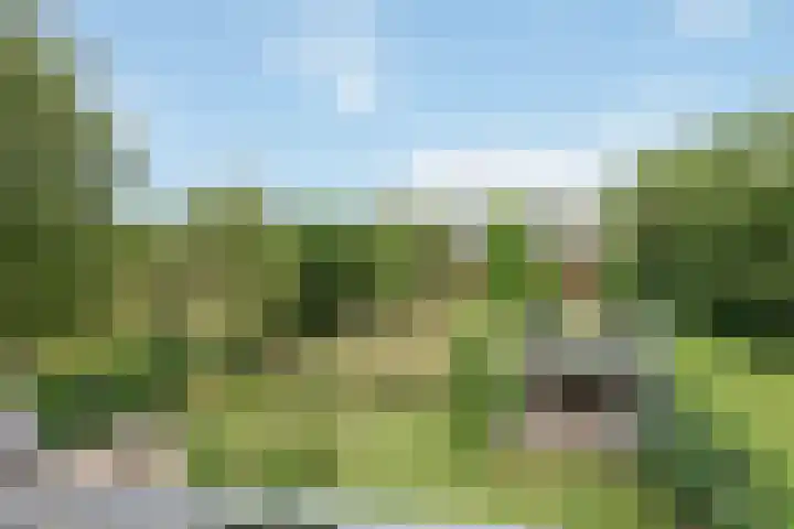 Evert van Wilpweg 6 Oosterbeek thumbnail 39