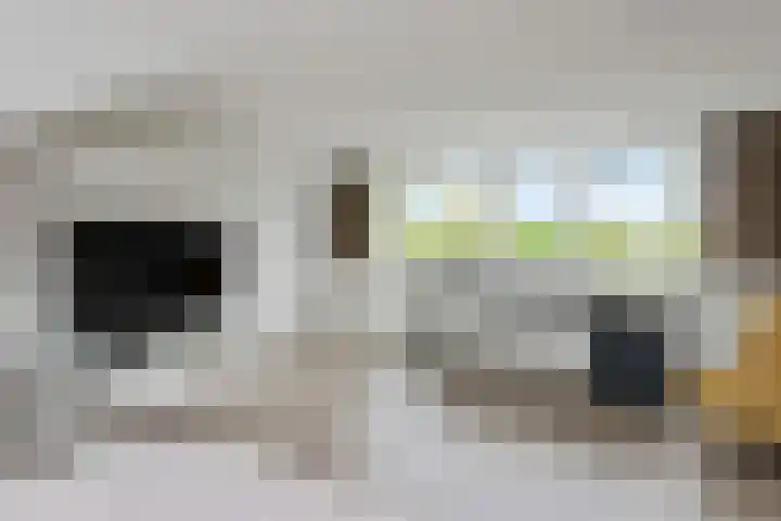 Evert van Wilpweg 6 Oosterbeek thumbnail 46