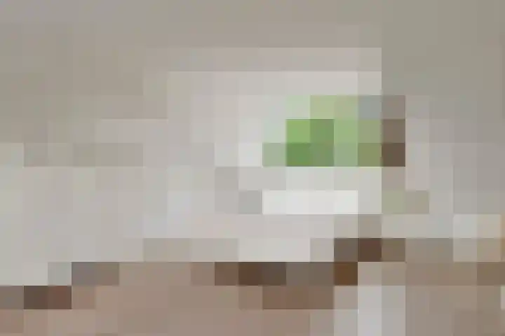 Evert van Wilpweg 6 Oosterbeek thumbnail 47
