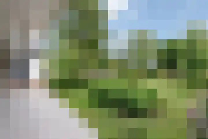Evert van Wilpweg 6 Oosterbeek thumbnail 51