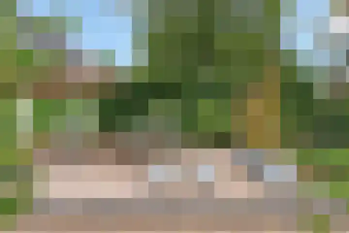 Evert van Wilpweg 6 Oosterbeek thumbnail 52