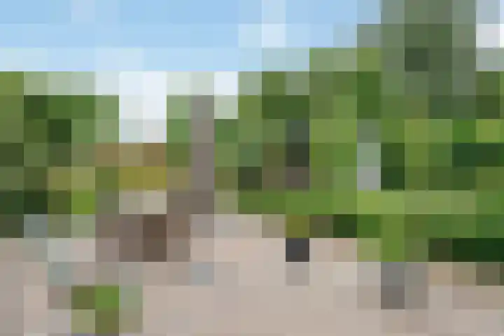 Evert van Wilpweg 6 Oosterbeek thumbnail 53
