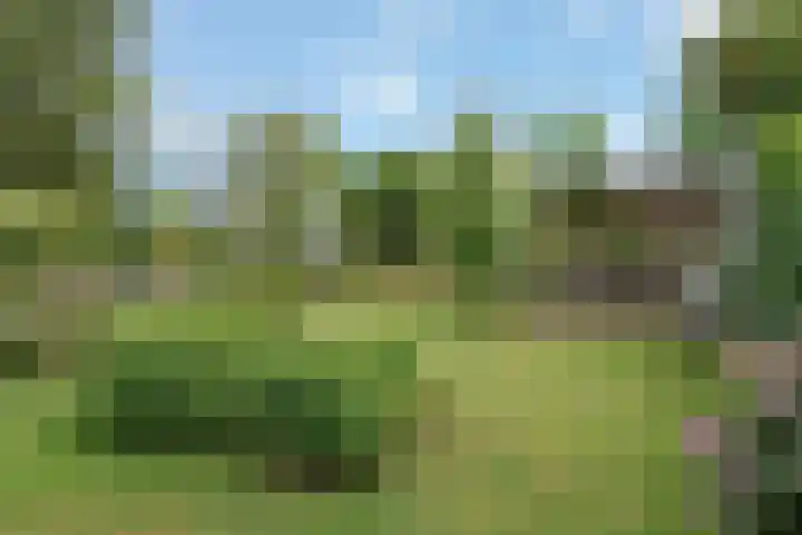 Evert van Wilpweg 6 Oosterbeek thumbnail 54