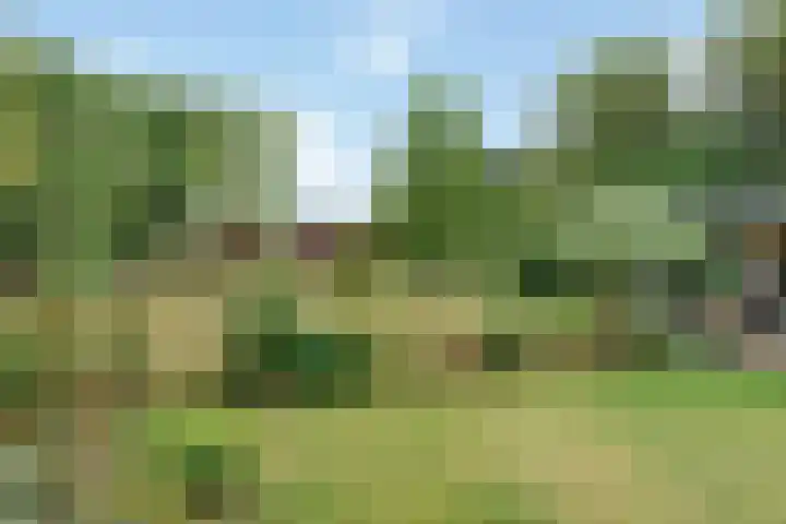 Evert van Wilpweg 6 Oosterbeek thumbnail 59