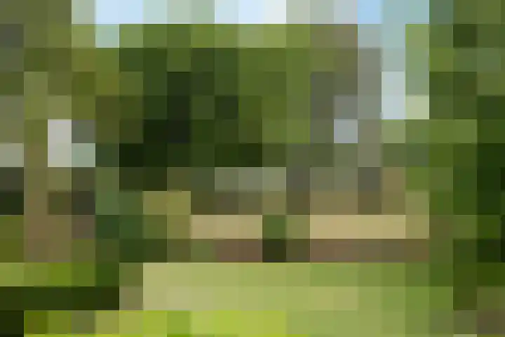 Evert van Wilpweg 6 Oosterbeek thumbnail 60