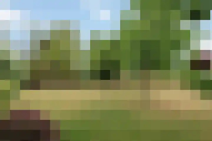 Evert van Wilpweg 6 Oosterbeek thumbnail 61