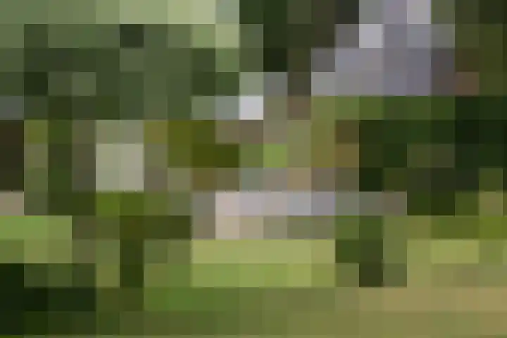 Evert van Wilpweg 6 Oosterbeek thumbnail 62