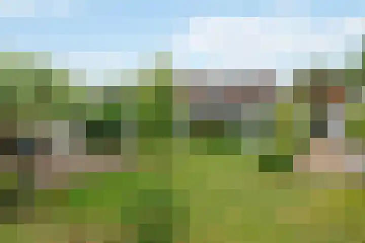 Evert van Wilpweg 6 Oosterbeek thumbnail 65