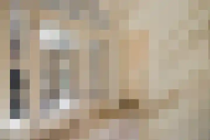 Evertas 2 Laren thumbnail 10