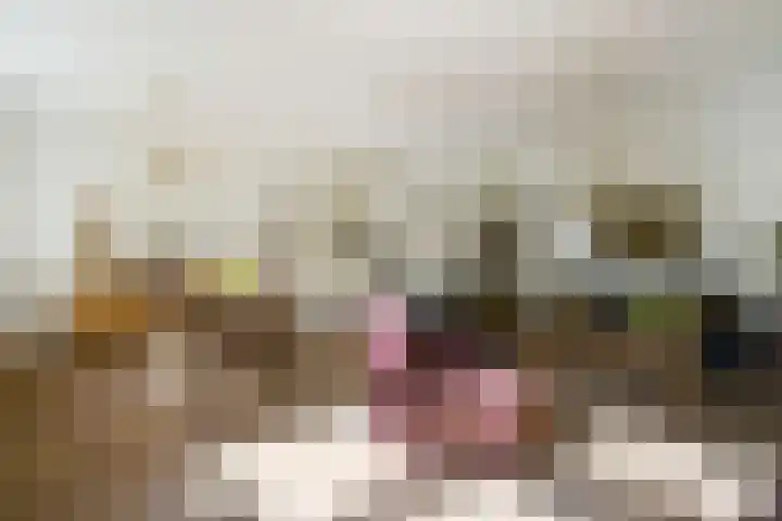 Evertas 2 Laren thumbnail 11