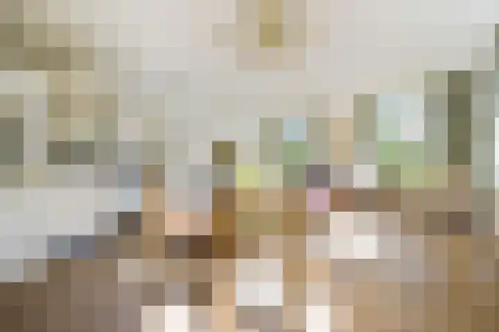 Evertas 2 Laren thumbnail 13