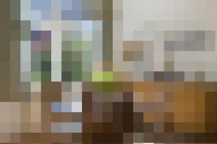 Evertas 2 Laren thumbnail 14
