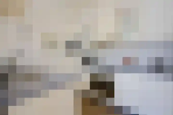 Evertas 2 Laren thumbnail 15