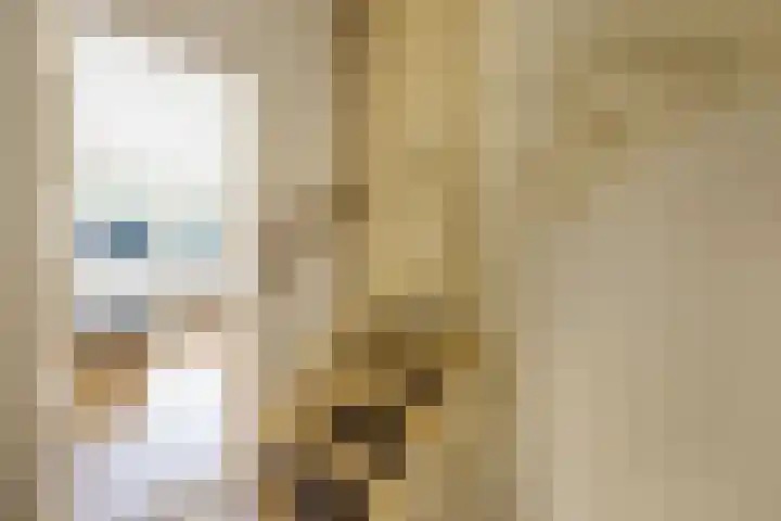 Evertas 2 Laren thumbnail 16