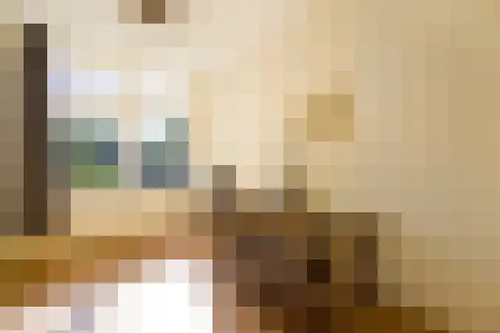 Evertas 2 Laren thumbnail 17