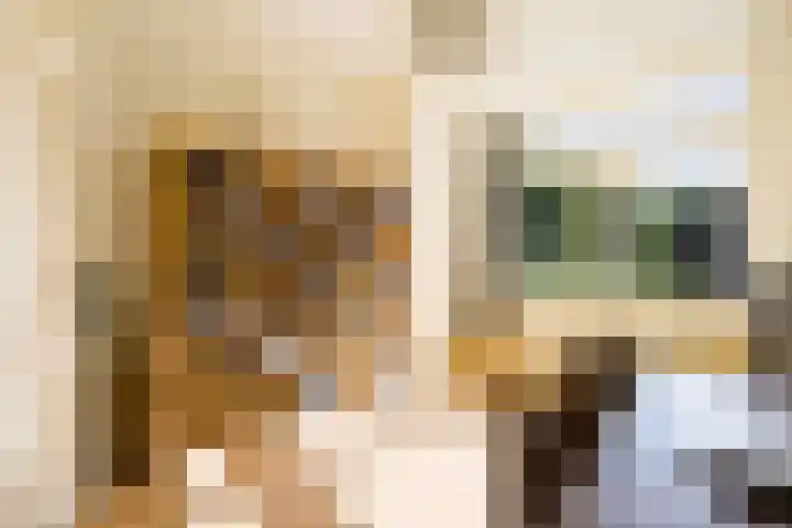 Evertas 2 Laren thumbnail 18