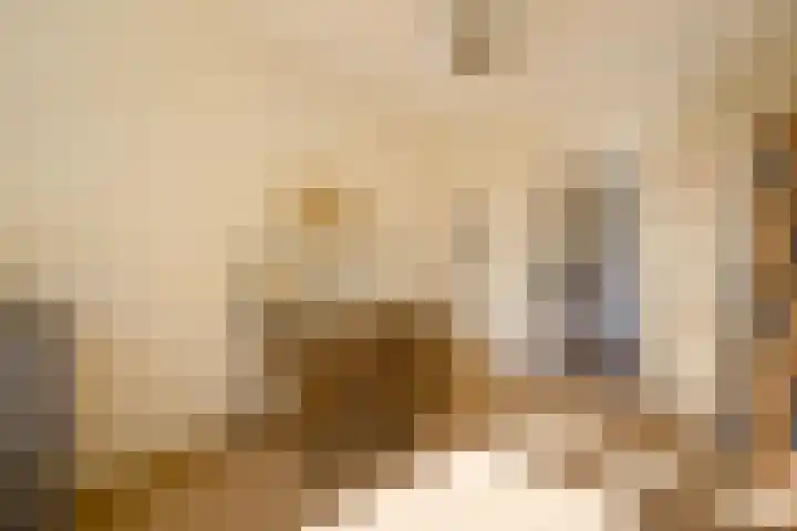 Evertas 2 Laren thumbnail 19
