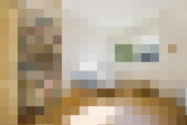 Evertas 2 Laren thumbnail 21