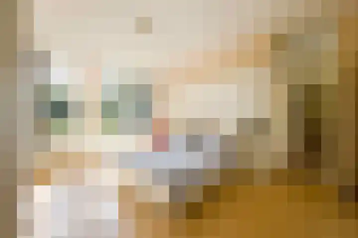 Evertas 2 Laren thumbnail 22