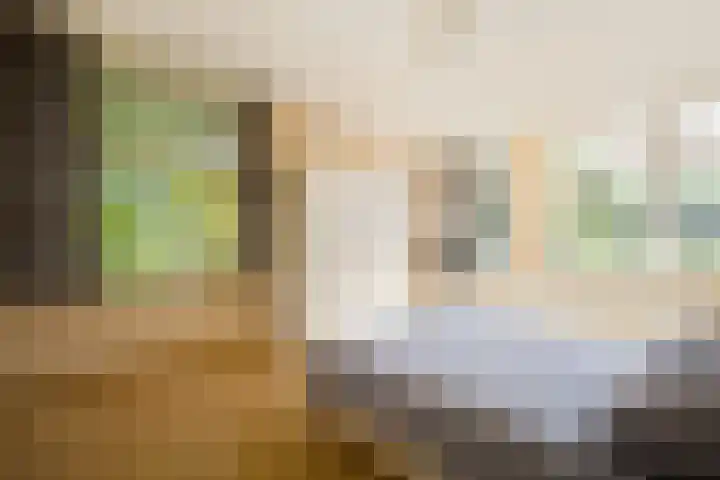 Evertas 2 Laren thumbnail 23