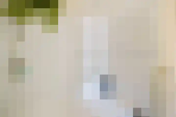 Evertas 2 Laren thumbnail 25