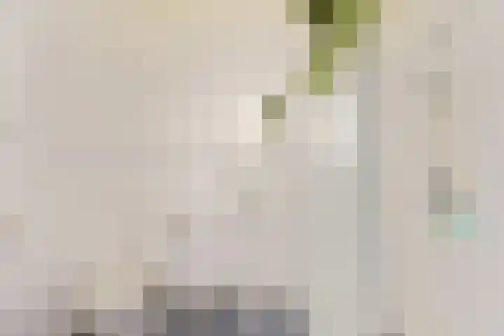 Evertas 2 Laren thumbnail 26