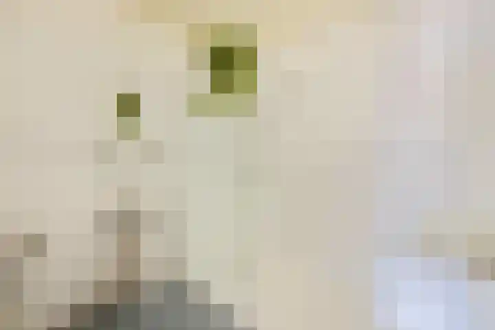 Evertas 2 Laren thumbnail 27