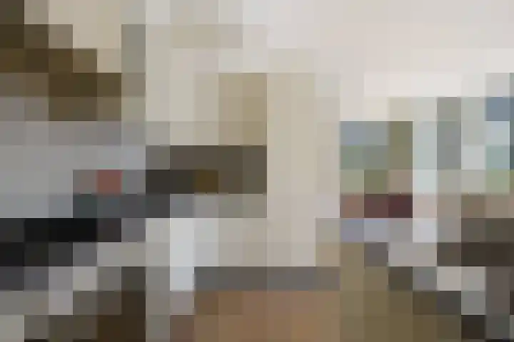 Evertas 2 Laren foto 3