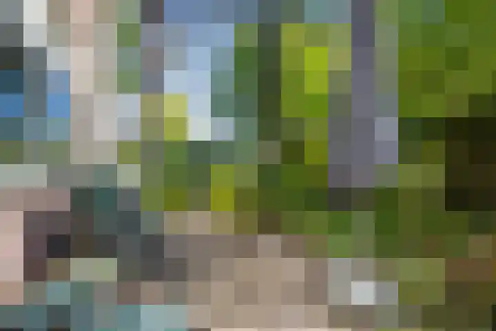 Evertas 2 Laren thumbnail 6