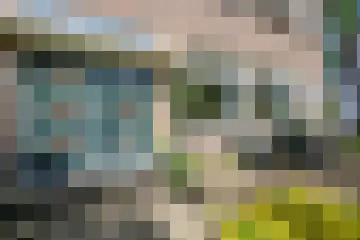 Evertas 2 Laren thumbnail 7