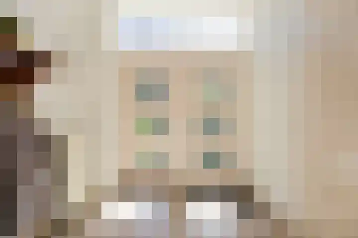 Evertas 2 Laren thumbnail 9