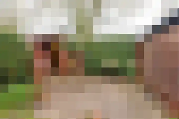 Evertsenlaan 18 Baarn thumbnail 12