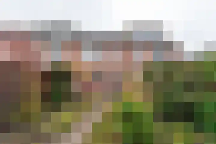 Evertsenlaan 18 Baarn thumbnail 14